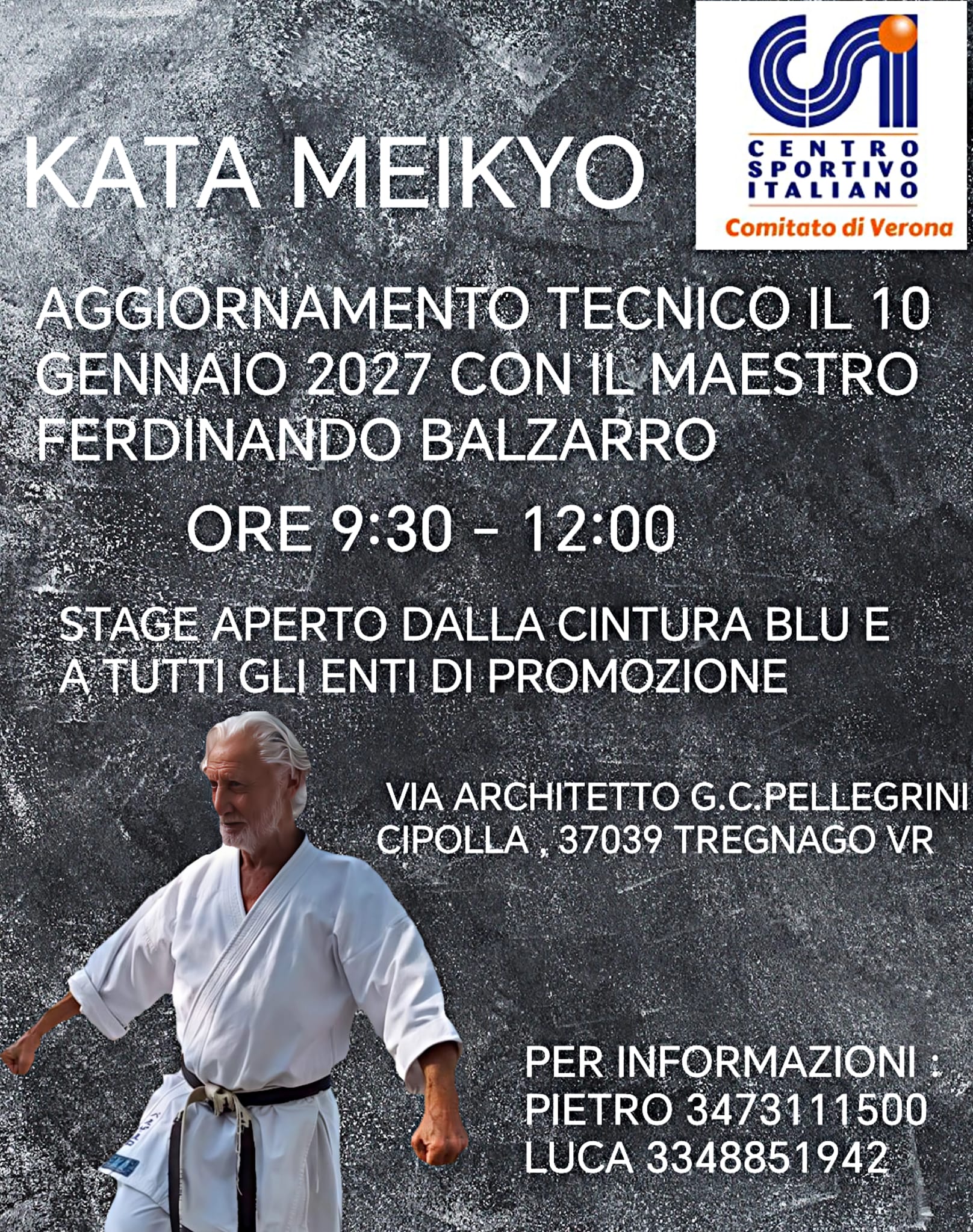 Locandina Stage M° F.Balzarro